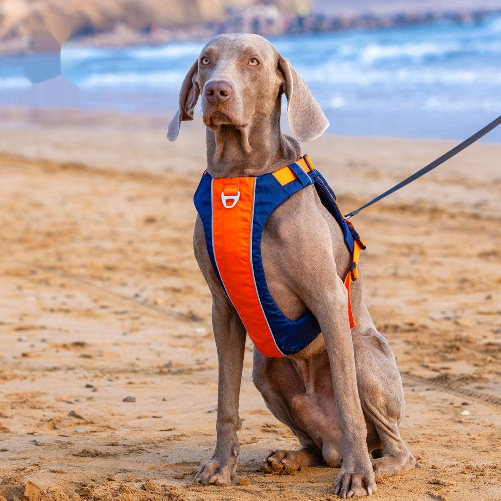 Hunde-Brustgeschirr im Weste-Stil | LuxeStyle