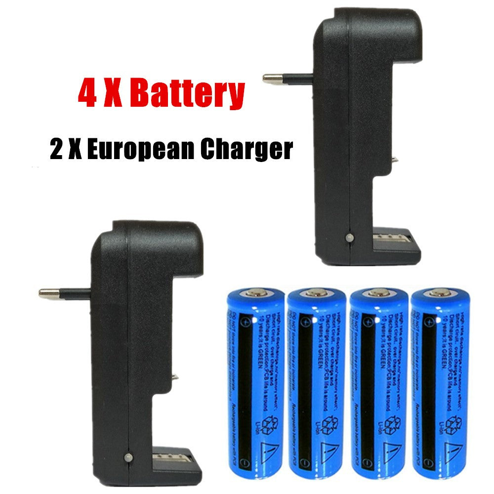 Akku-Ladegerät mit 2 Li-Ion Akkus 3.7V 3000mAh