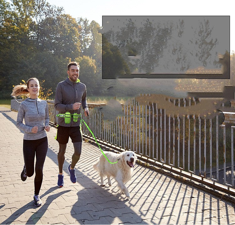 Laufgurt mit Trainingsbeutel für Hunde – Bild 3 | LuxeStyle
