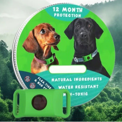 Flohhalsband für Hunde und Katzen