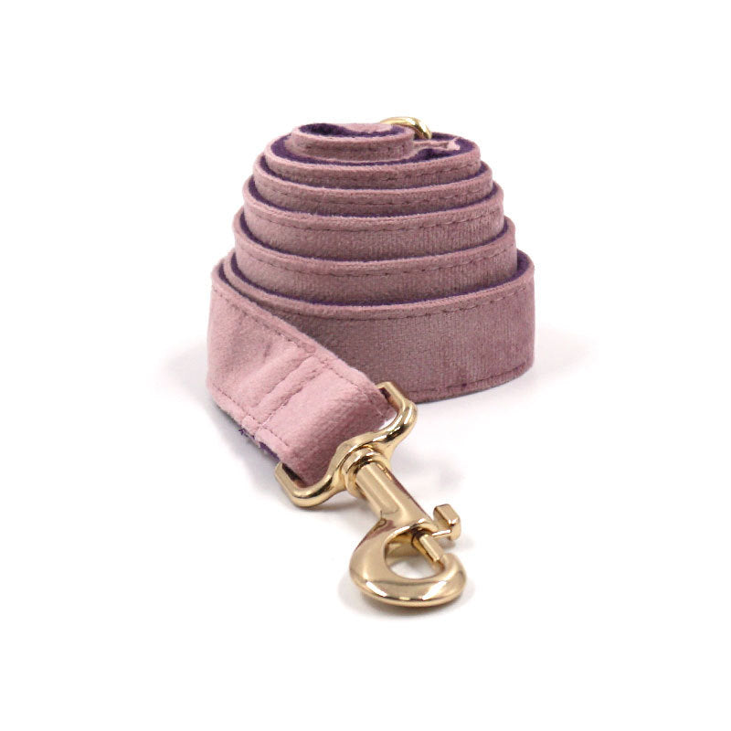 Samt-Hundehalsband mit Leine – Bild 5 | LuxeStyle