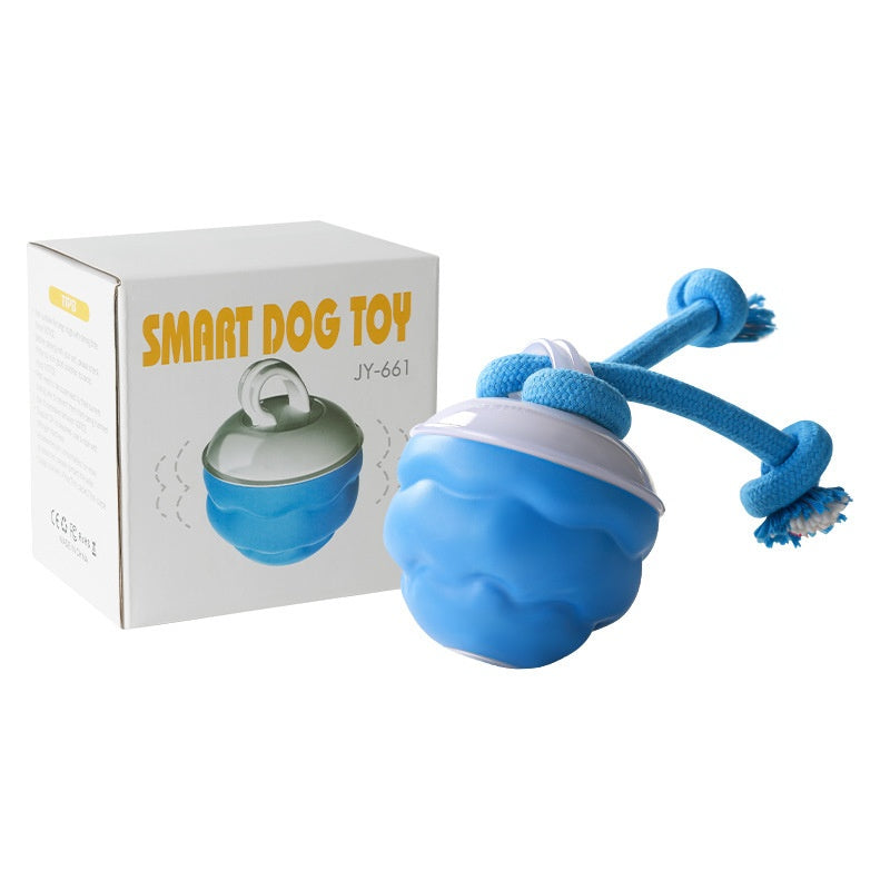Interaktiver Spielball für Hunde, wiederaufladbar