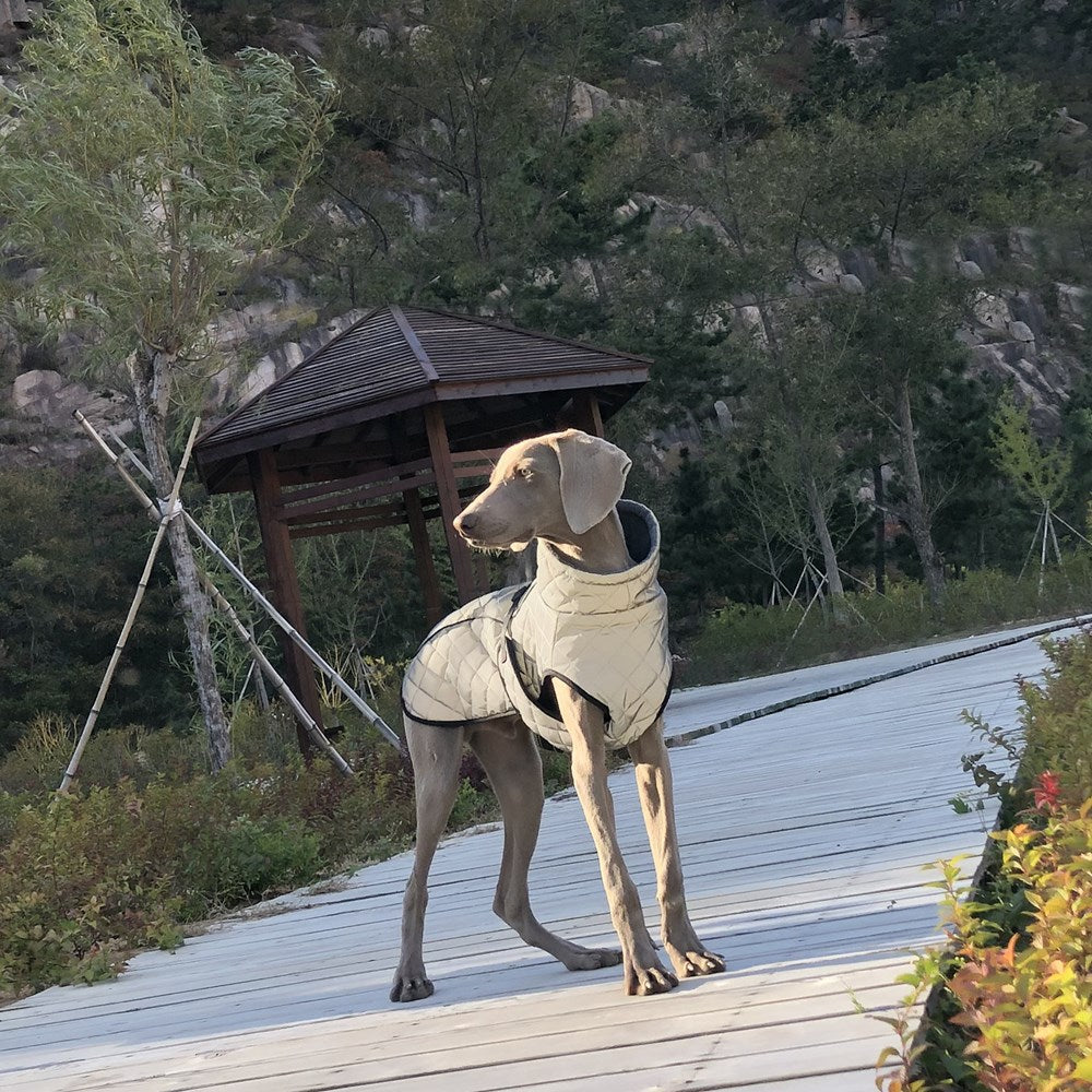 Reflektierende Taktikjacke für Hunde