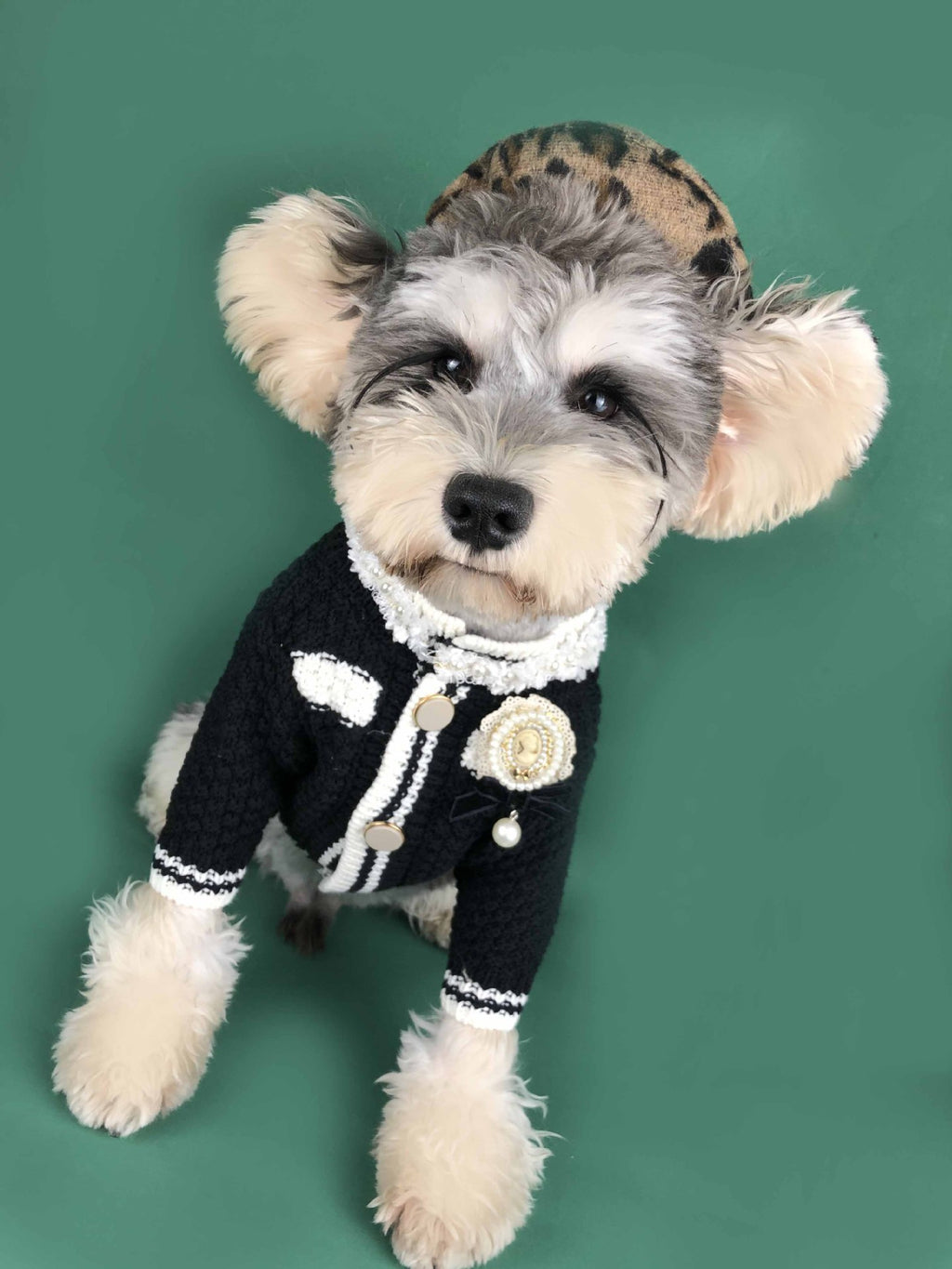 Hundestrickpullover für kleine Rassen, schwarz-weiss | LuxeStyle