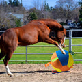 Golden Retriever Spielball-Set, kaubeständig