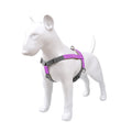 Hundegeschirr aus Leder mit Nylonleine | LuxeStyle