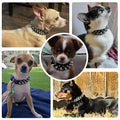 Stachelhalsband für kleine Hunde
