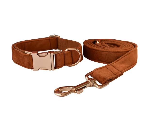 Samtiges Haustierhalsband mit Leine – Bild 4 | LuxeStyle