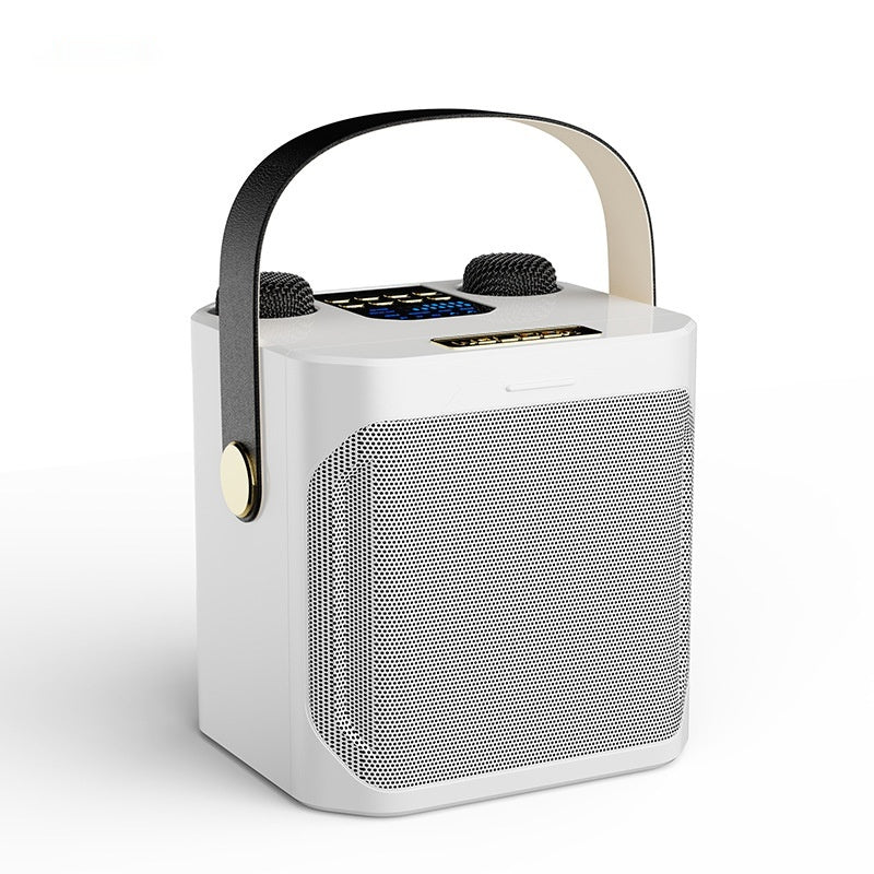 Duales Stereo Karaoke-System