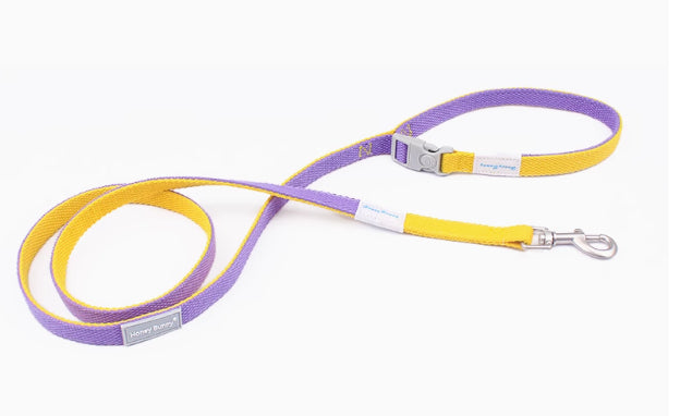 Halsband und Leine mit farblich passender Schnalle – Bild 10 | LuxeStyle