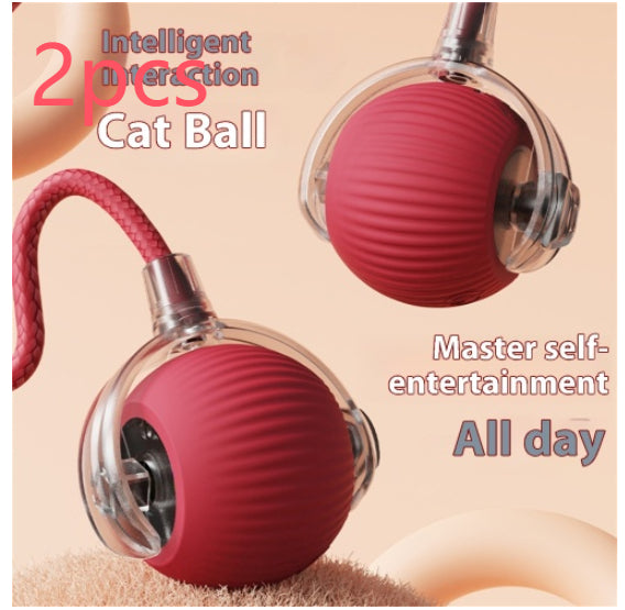 Automatischer Katzenspielball
