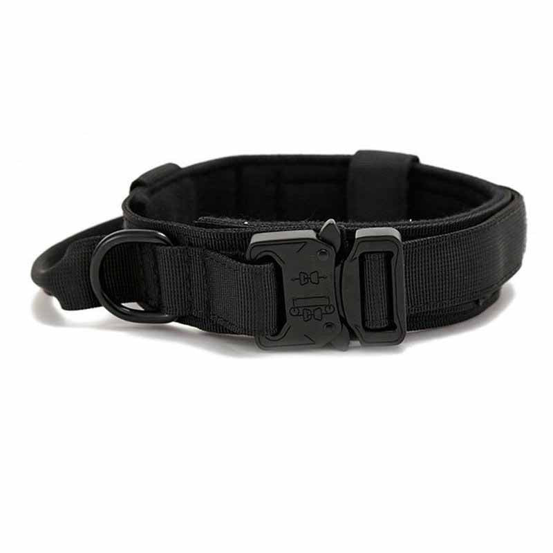Hundekragen mit Stahlbügel – Bild 4 | LuxeStyle