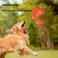 Automatischer Ballwerfer mit Sound für Hunde