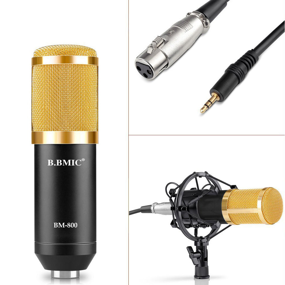 BM800 Kondensator-Mikrofon Set