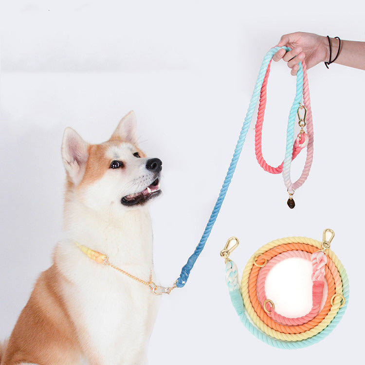 Farbige Hunde-Doppelleine «Rainbow» – Bild 12 | LuxeStyle