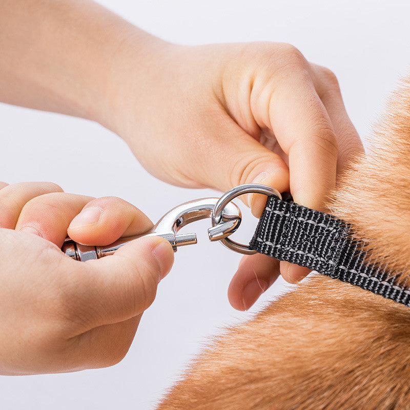 Rollleine für kleine bis grosse Hunde – Bild 3 | LuxeStyle