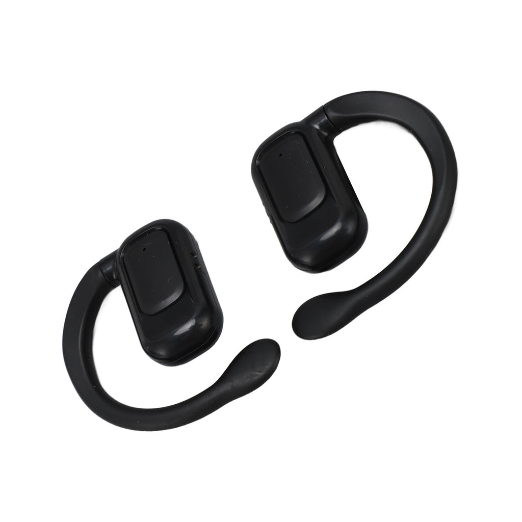 Translator Earbuds Etui
