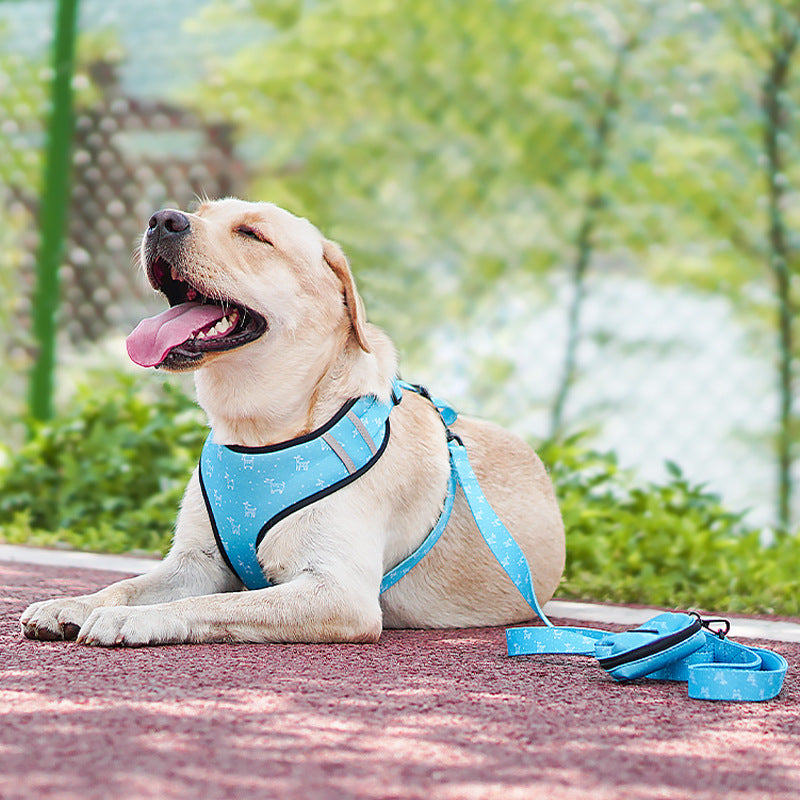 Hundegeschirr-Set mit Leine und Halstuch – Bild 2 | LuxeStyle