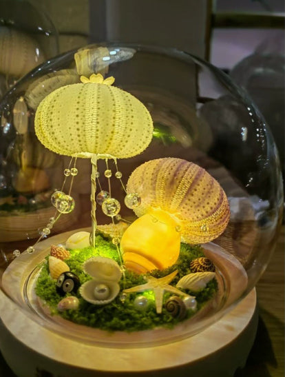 Nachtlicht Seeigel-Muschel – Bild 8 | LuxeStyle