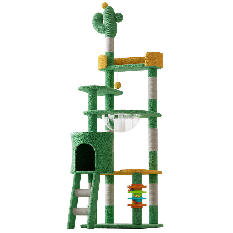 Katzenkletterwand Gross