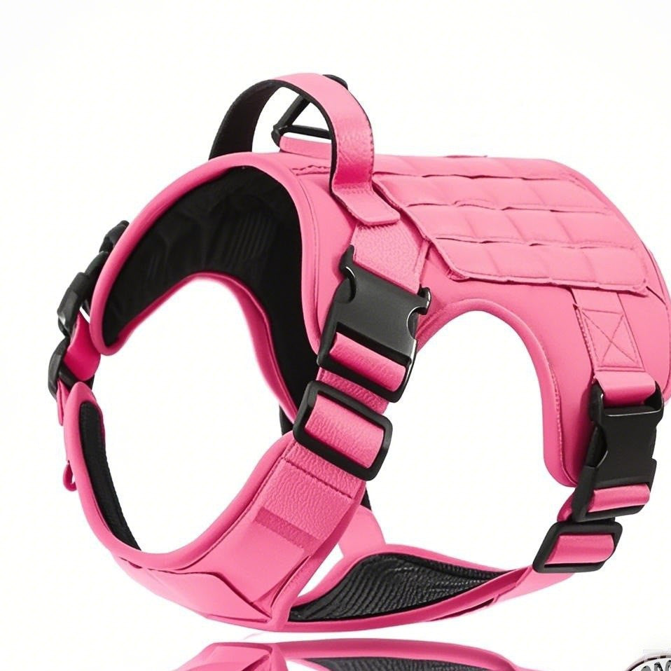Taktisches Hundehalsband