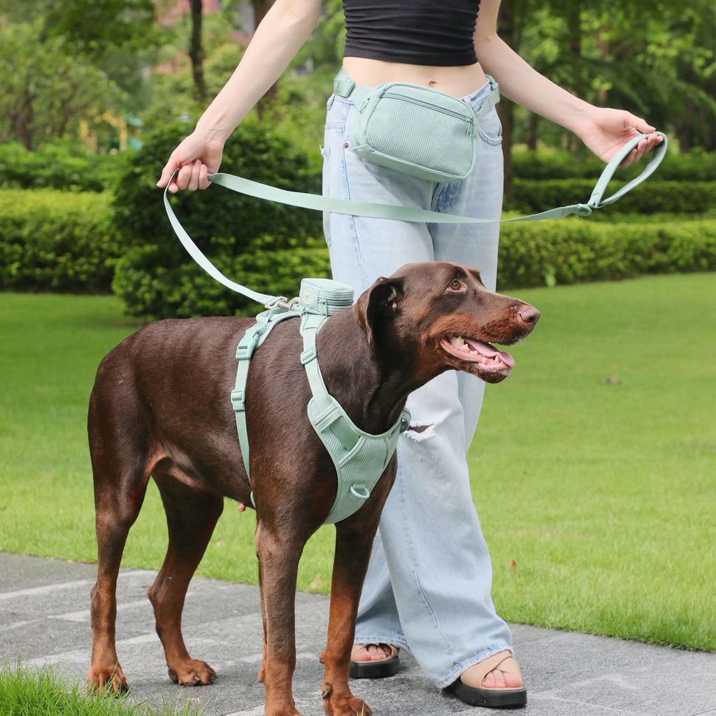 Hundegeschirr-Set mit Leine und Tasche – Bild 3 | LuxeStyle