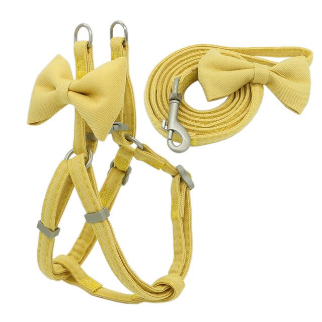 Hundehalsband-Set – Bild 4 | LuxeStyle