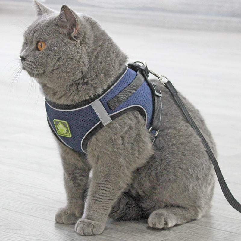 Atmungsaktive Katzenleine mit Fluchtsicherung