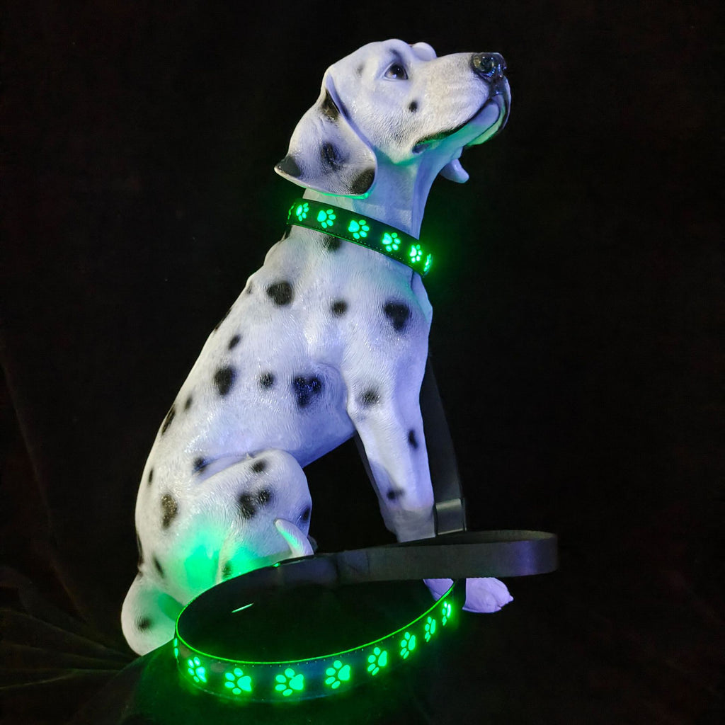 LED Leuchthalsband für Hunde, 7 Farben – Bild 2 | LuxeStyle