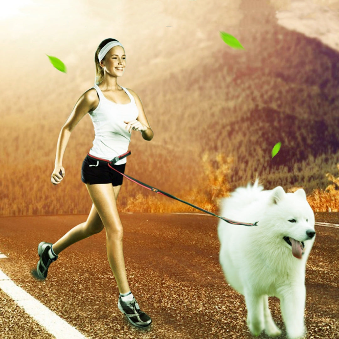 Hände-frei-Leine für Hunde – Bild 2 | LuxeStyle