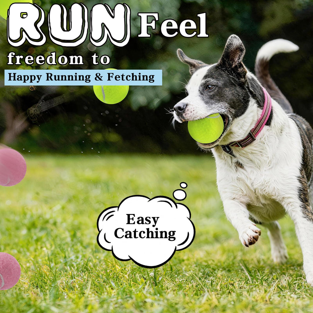 Farbige Tennisbälle für Hunde
