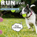 Farbige Tennisbälle für Hunde