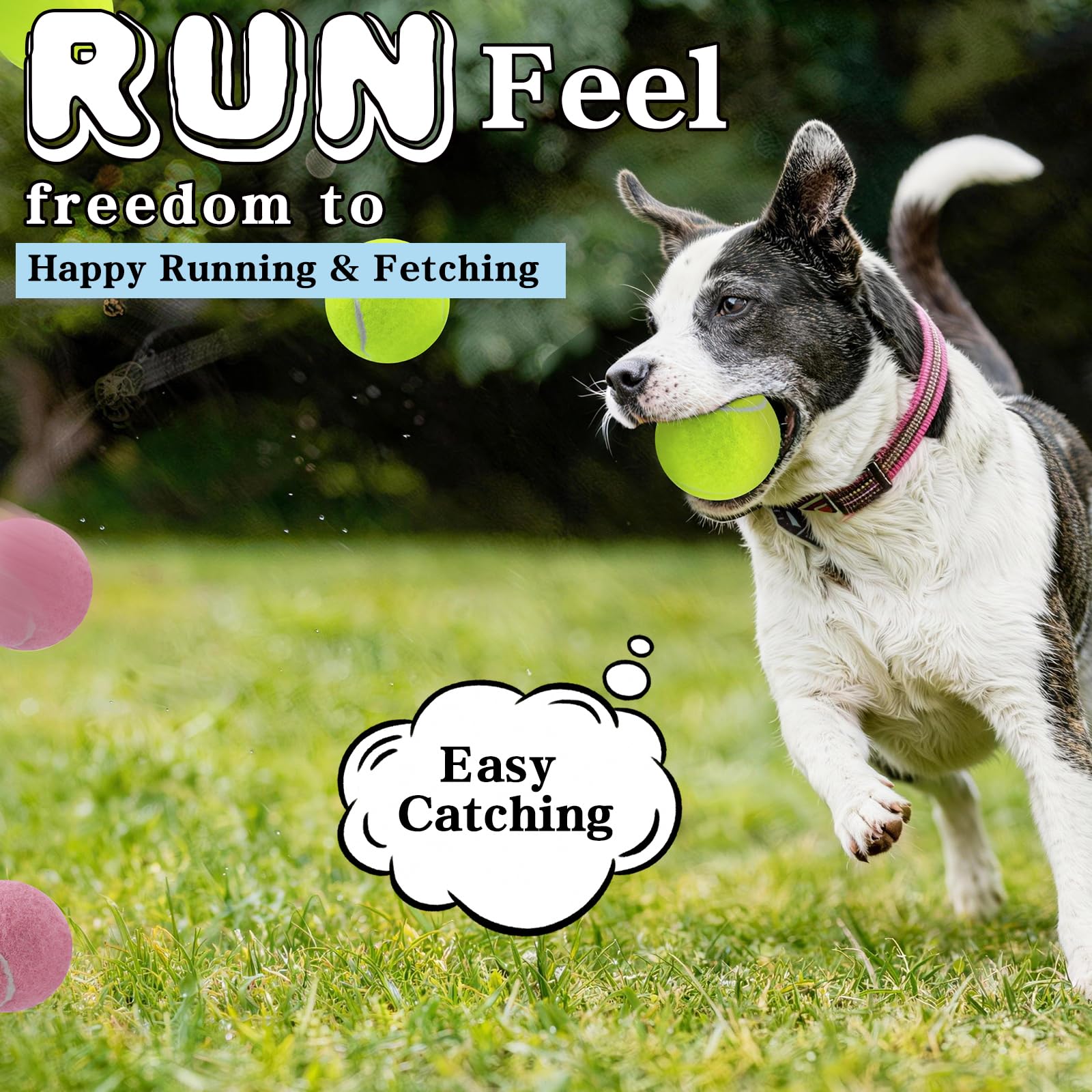 Farbige Tennisbälle für Hunde