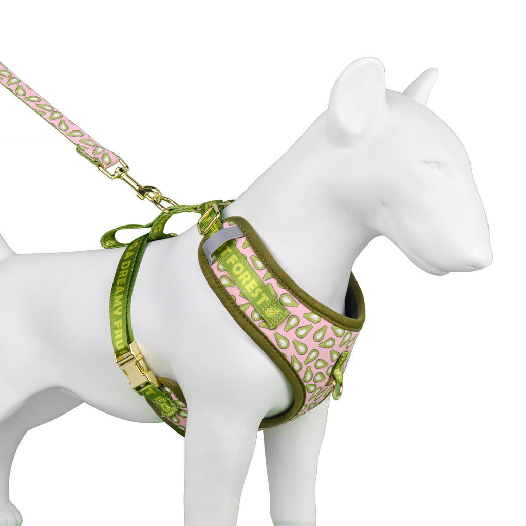 Halsband mit Traktionsgurt für Hunde