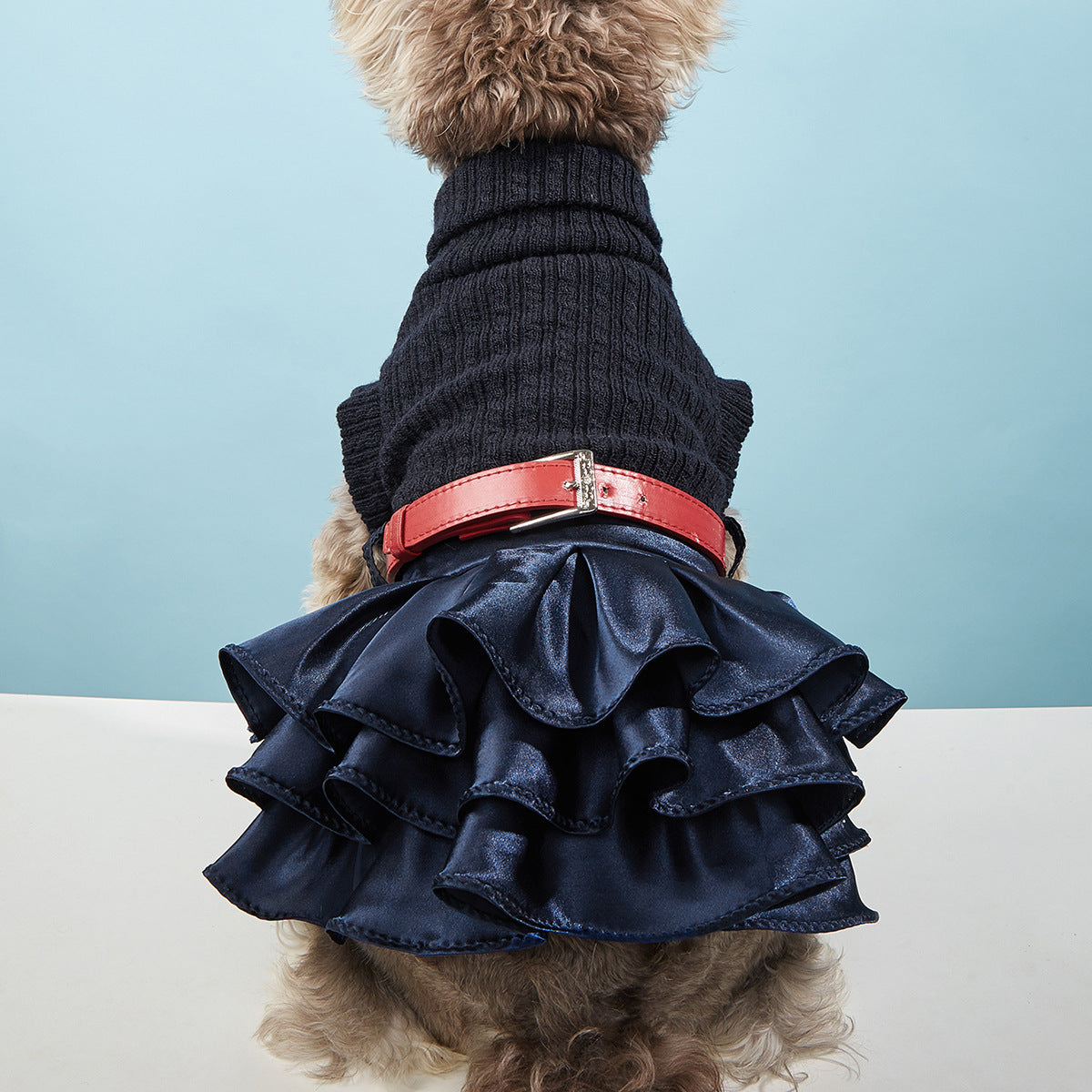 Herbst-Winter-Set für Haustier mit Pullover – Bild 5 | LuxeStyle