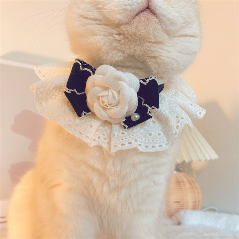 Halsband mit Spitze und Schleife für Katzen – Bild 1 | LuxeStyle