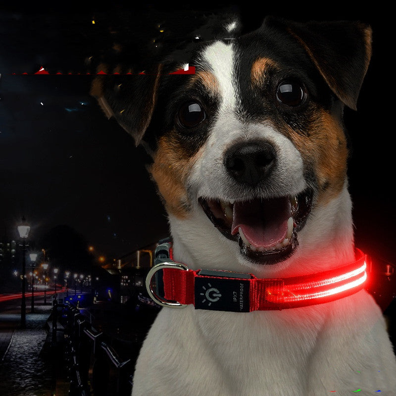 LED-Halsband für Haustiere, wasserdicht – Bild 3 | LuxeStyle