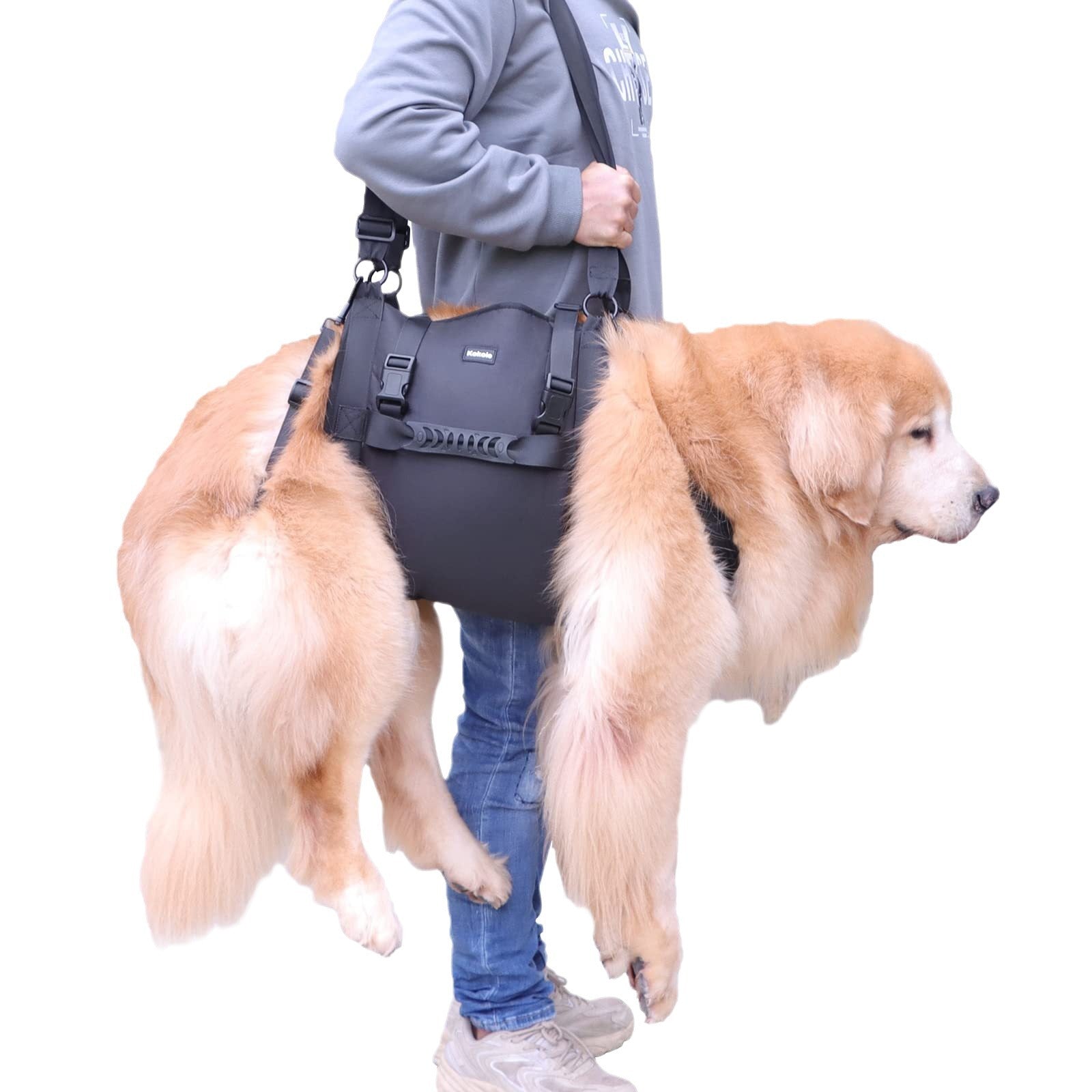 Rehabilitations-Brustgeschirr für Hunde