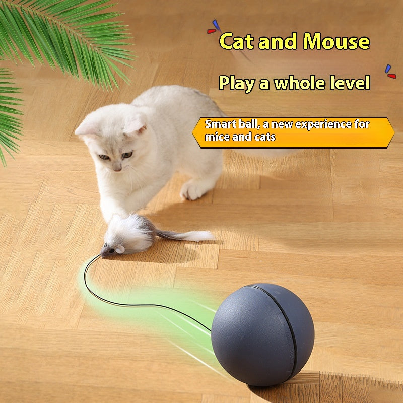 Maus Teaser Ball für Haustiere