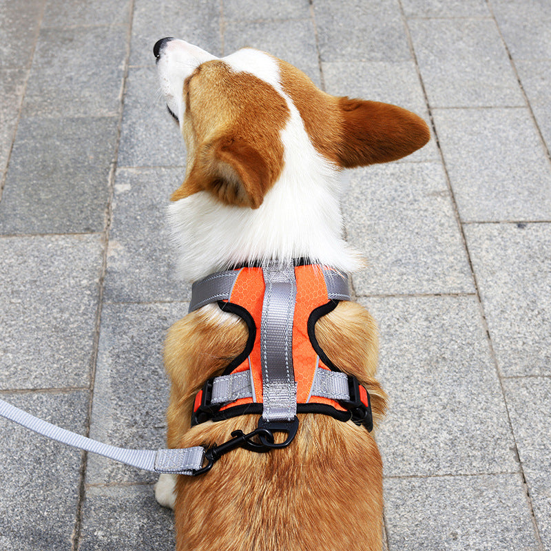 Hundeharnisch mit Leine