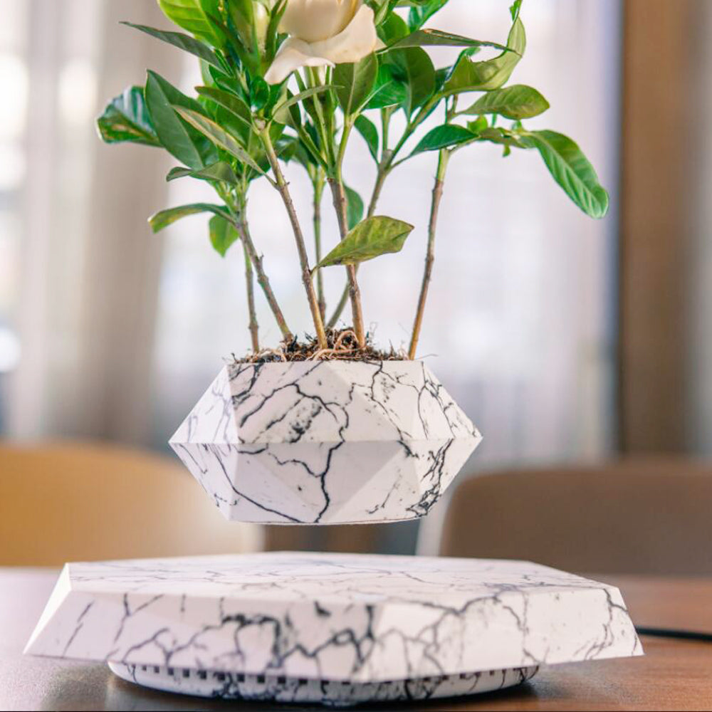 Schwebender Bonsai-Topf mit Magnet-Levitation