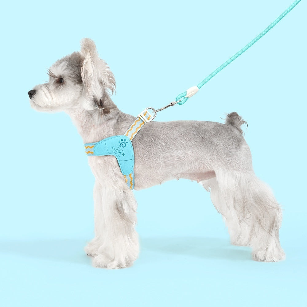 Tragbarer Y-förmiger Hunde-Harness für Spaziergang