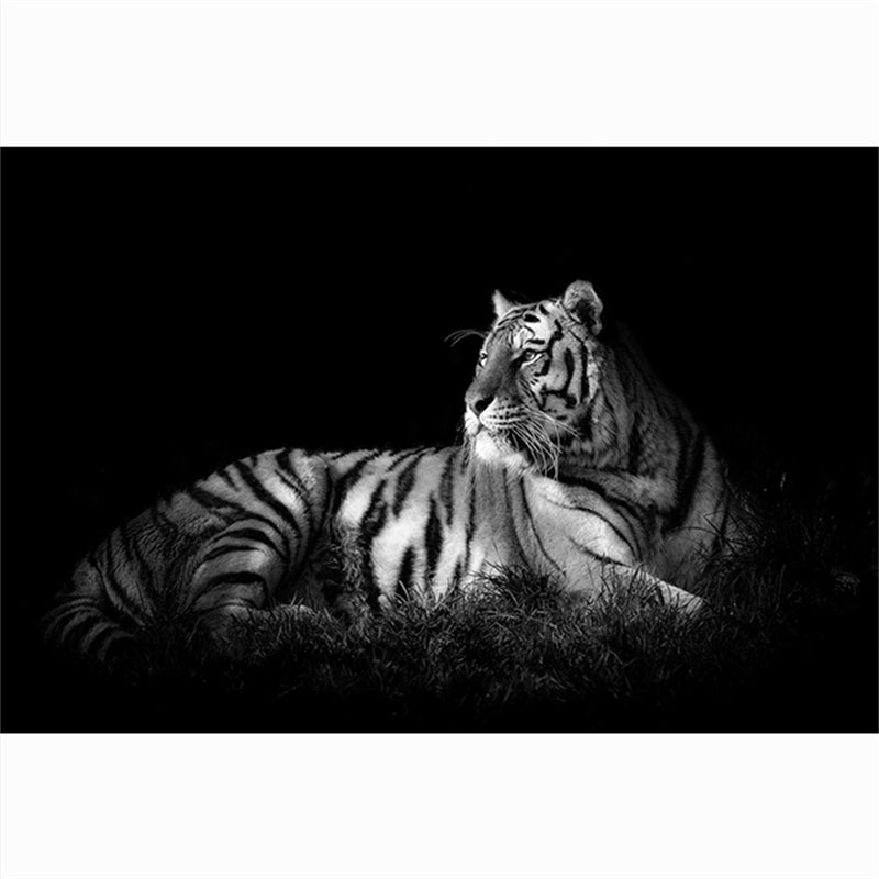 Leinwandbild Tigerkopf Schwarz-Weiss – Bild 8 | LuxeStyle
