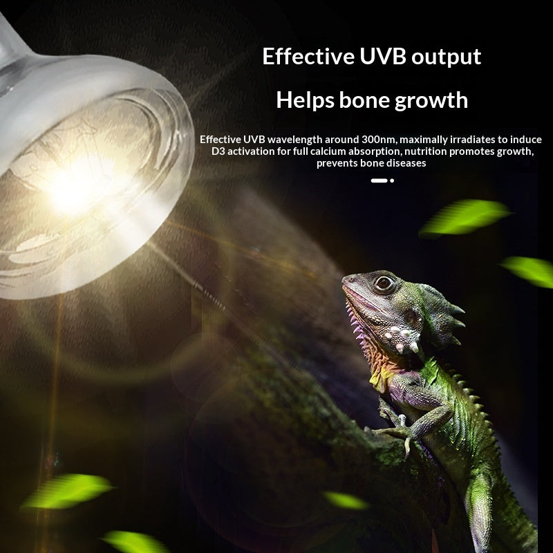 Turtle-Basking-Lampe