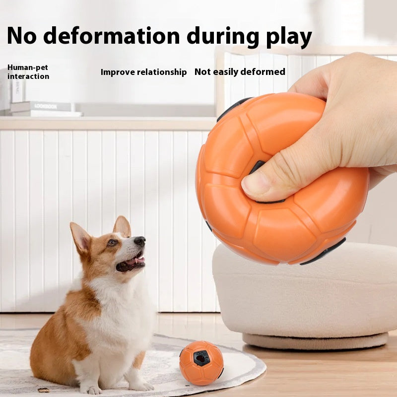 Zahnpflege-Spielball für Hunde