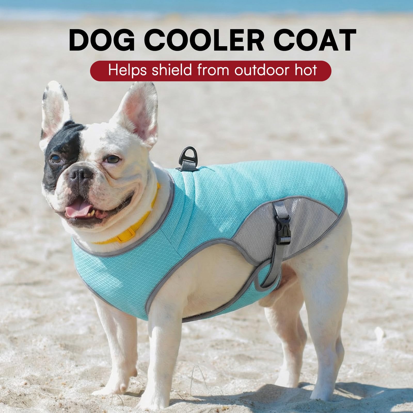 Kühljacke für Hunde