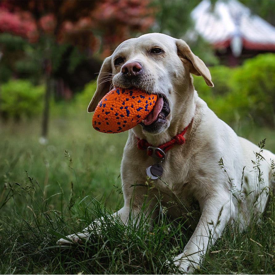 Fussball-Kauspielzeug für Hunde – Bild 5 | LuxeStyle
