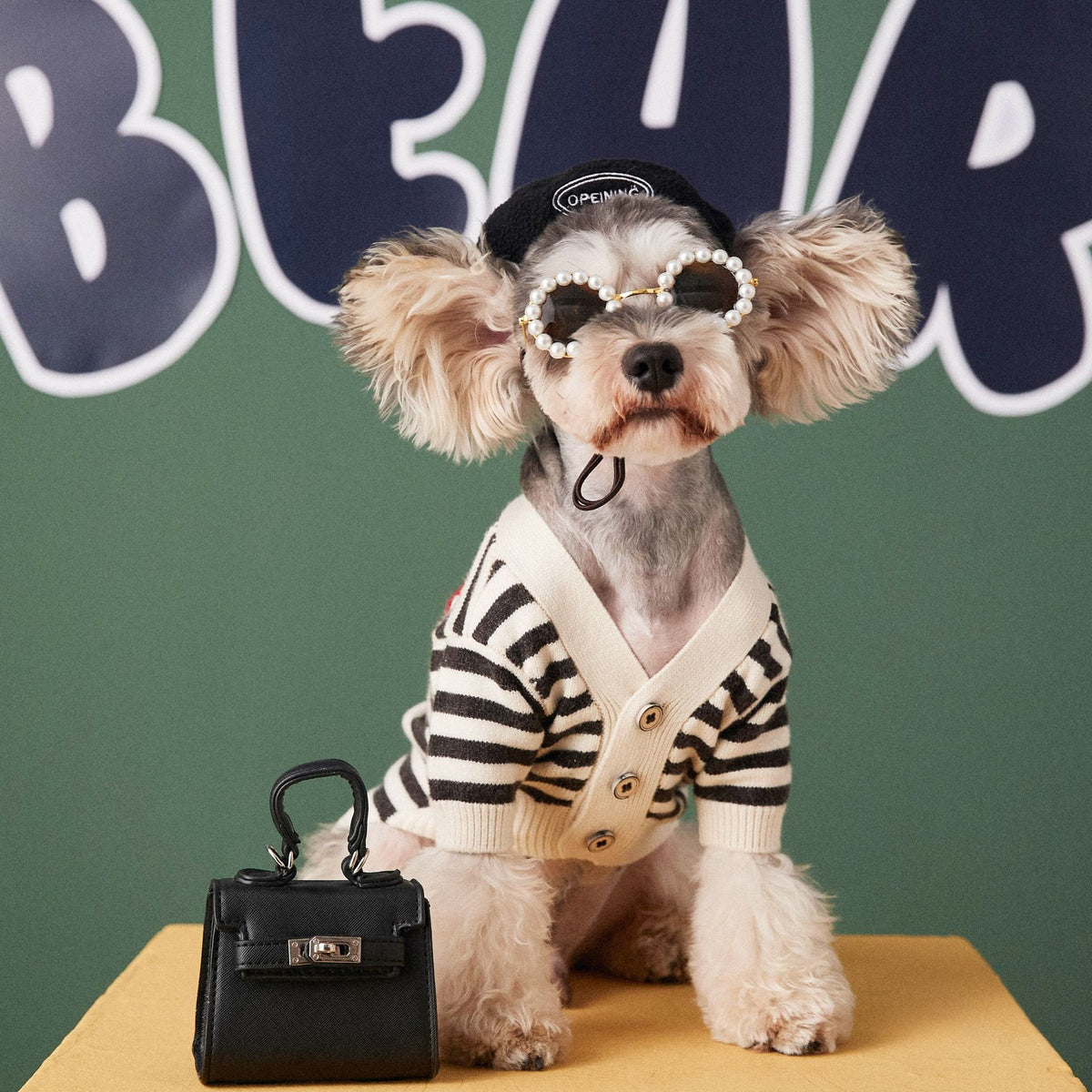 Gestreifter Hundepullover für kleine Hunde – Bild 4 | LuxeStyle