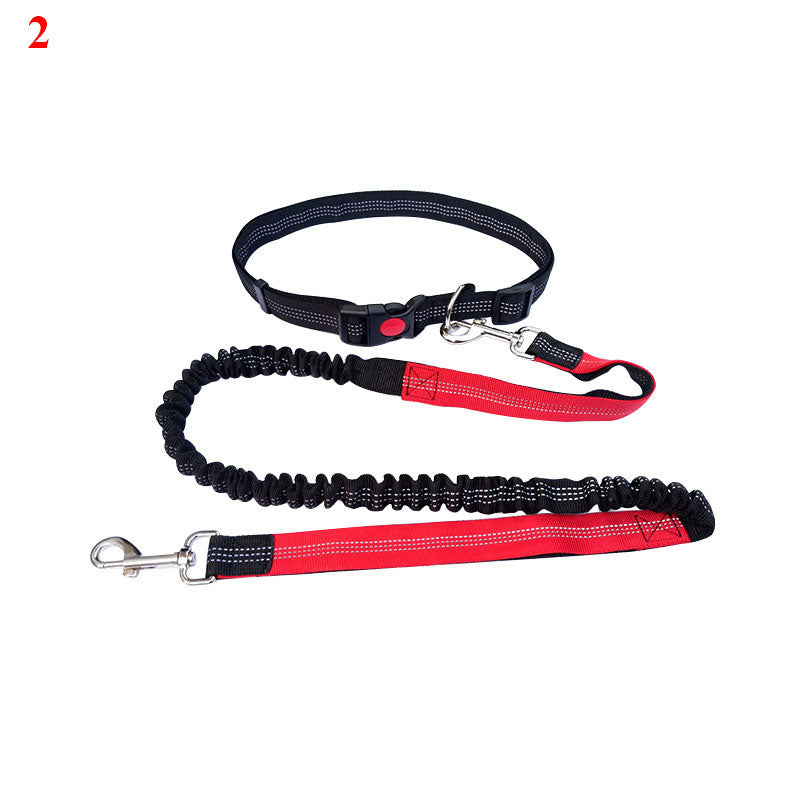 Elastische Laufleine für Hunde – Bild 13 | LuxeStyle