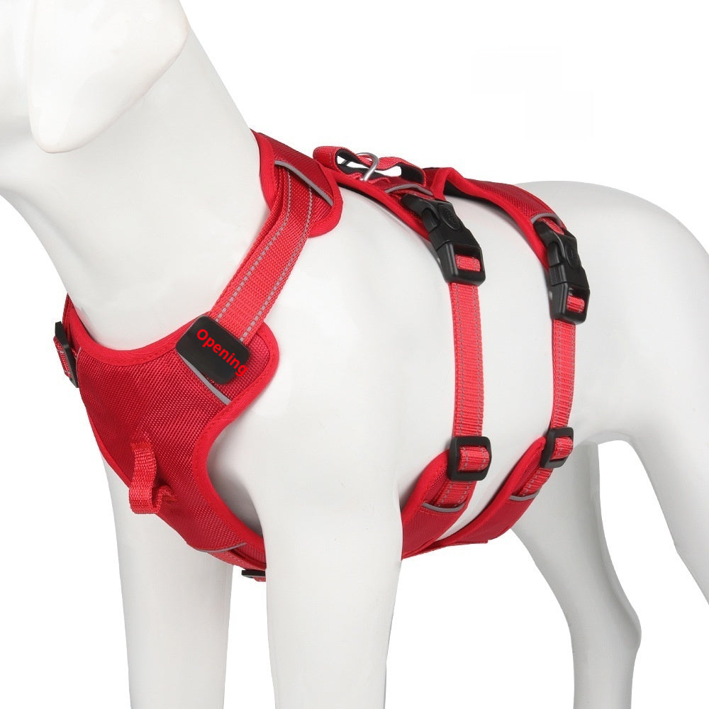 Hundehalsband für grosse Hunde